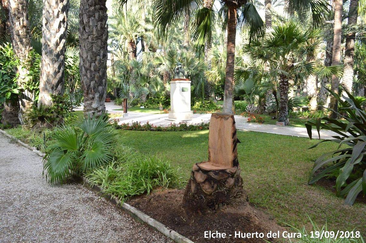 19 ELCHE HUERTO DEL CURA (132).JPG